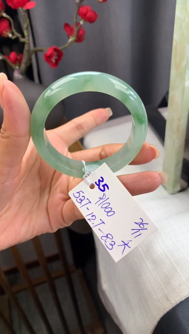 未镶嵌手镯翡翠假一赔三   手镯