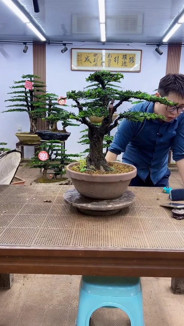无花朵一物一拍，所见即所得