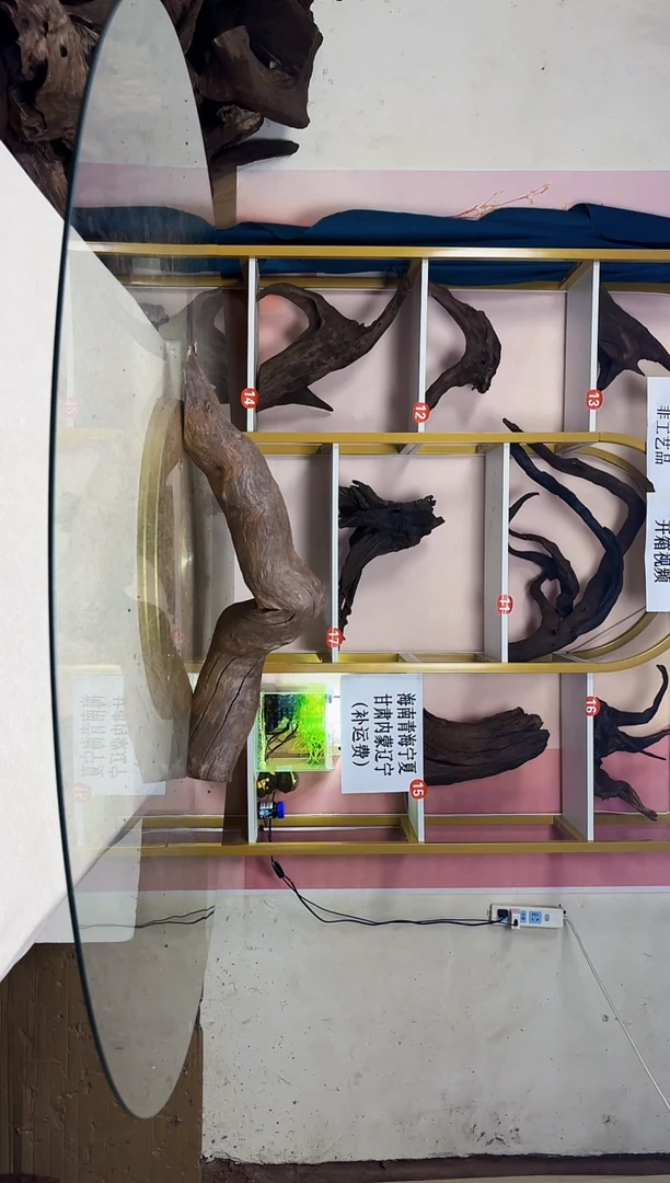 王*某山丘沉木一物一拍A503