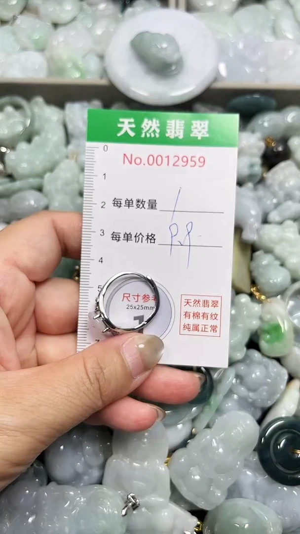 翡翠未镶嵌吊坠(不含链)2959
