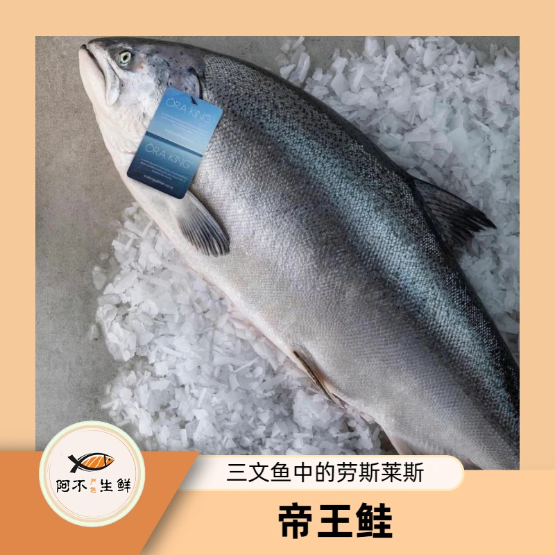 【大表哥帝王鲑】改价链接1