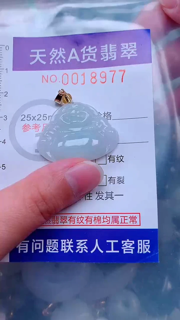 吊坠(不含链)未镶嵌翡翠1