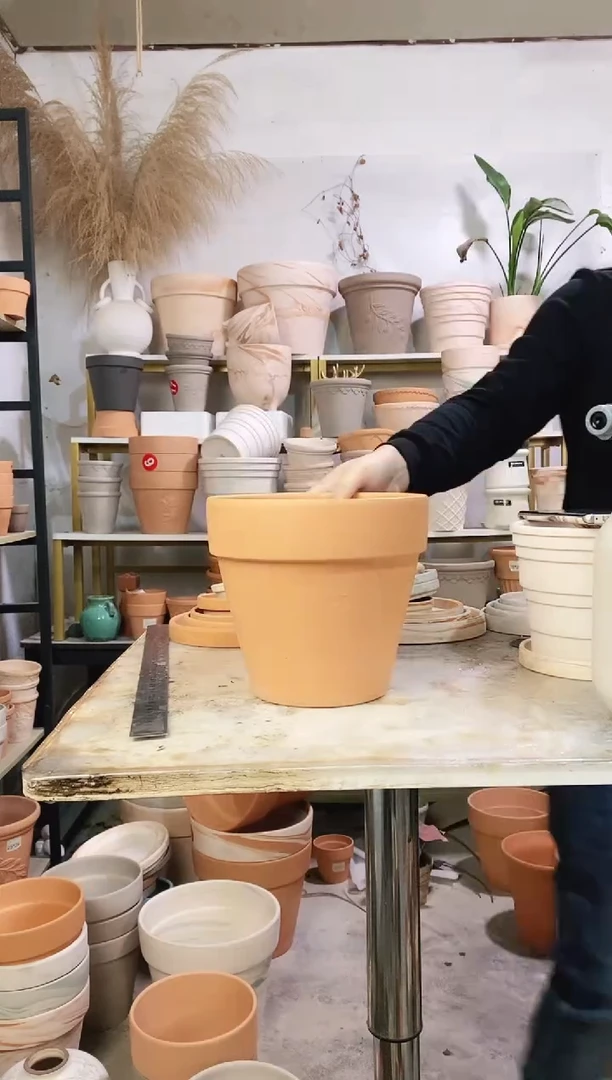 20*18红陶国际 1盆无托