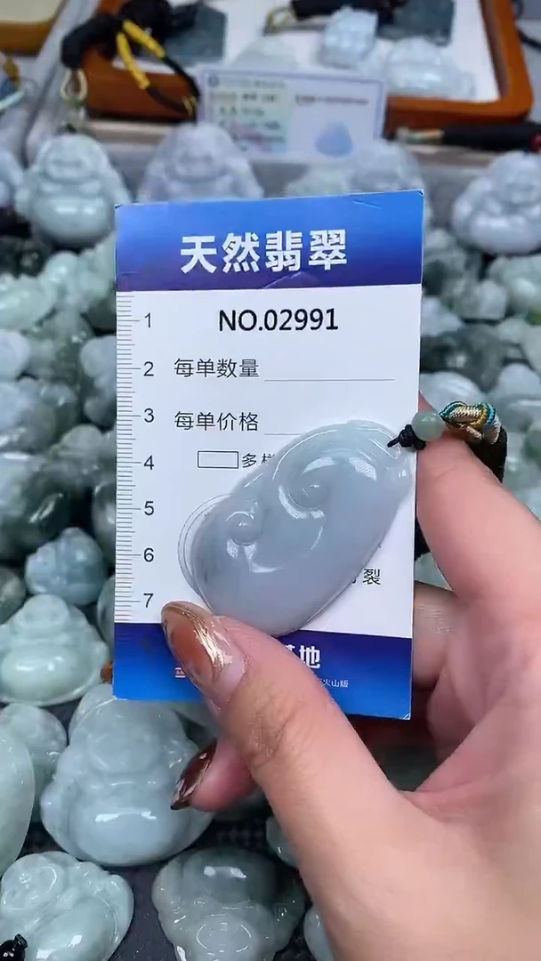 颈饰未镶嵌翡翠纯天然A货翡翠2991