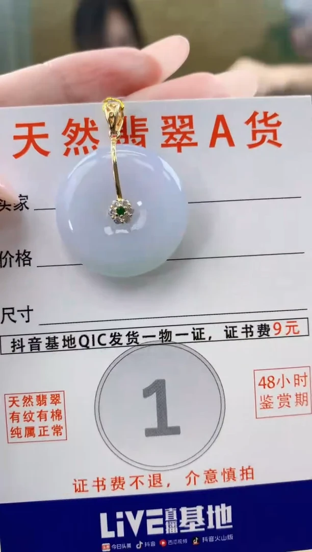 颈饰未镶嵌翡翠天然A货翡翠挂件