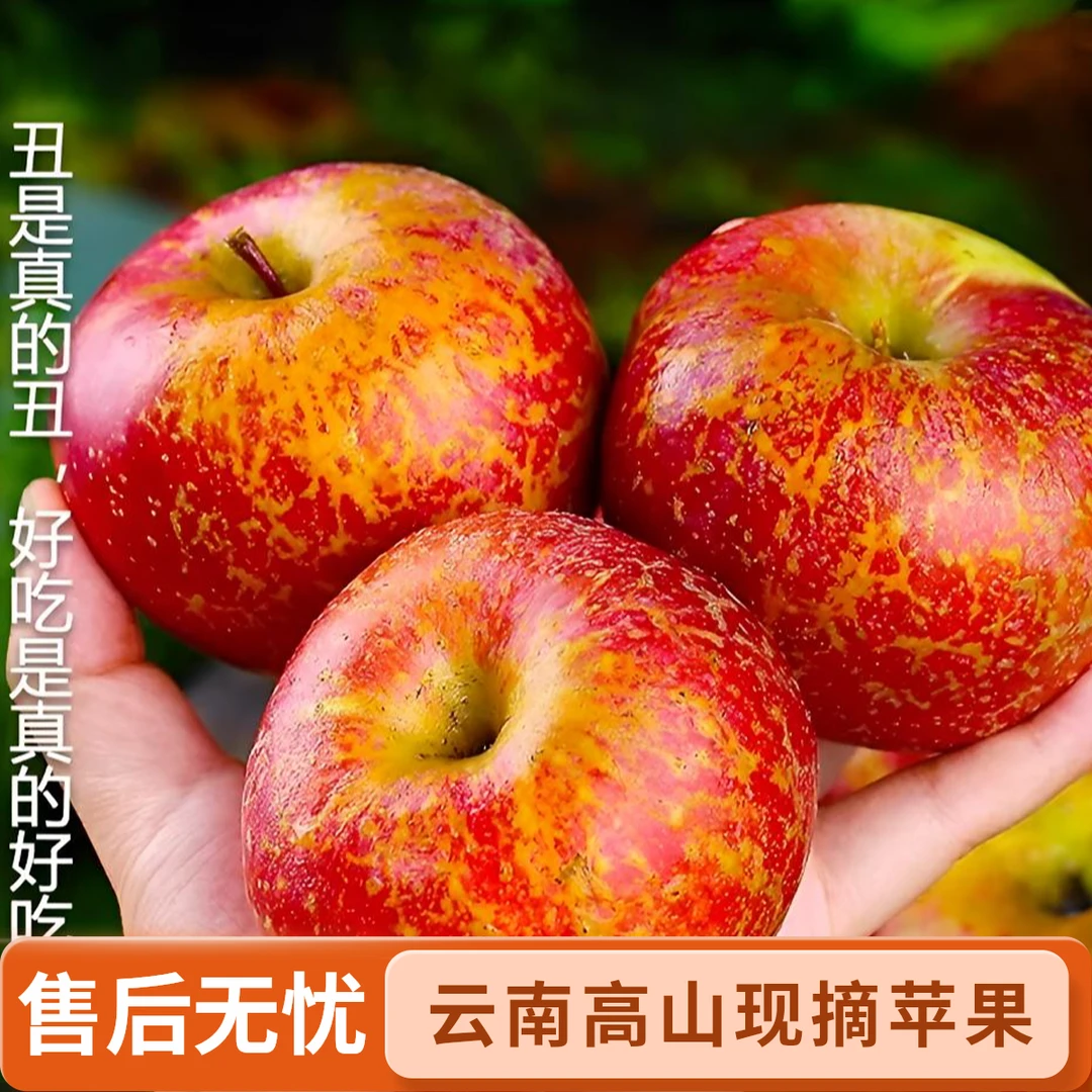 【迎中秋】云南昭通冰糖心丑苹果脆甜多汁新鲜现摘水果产地包邮