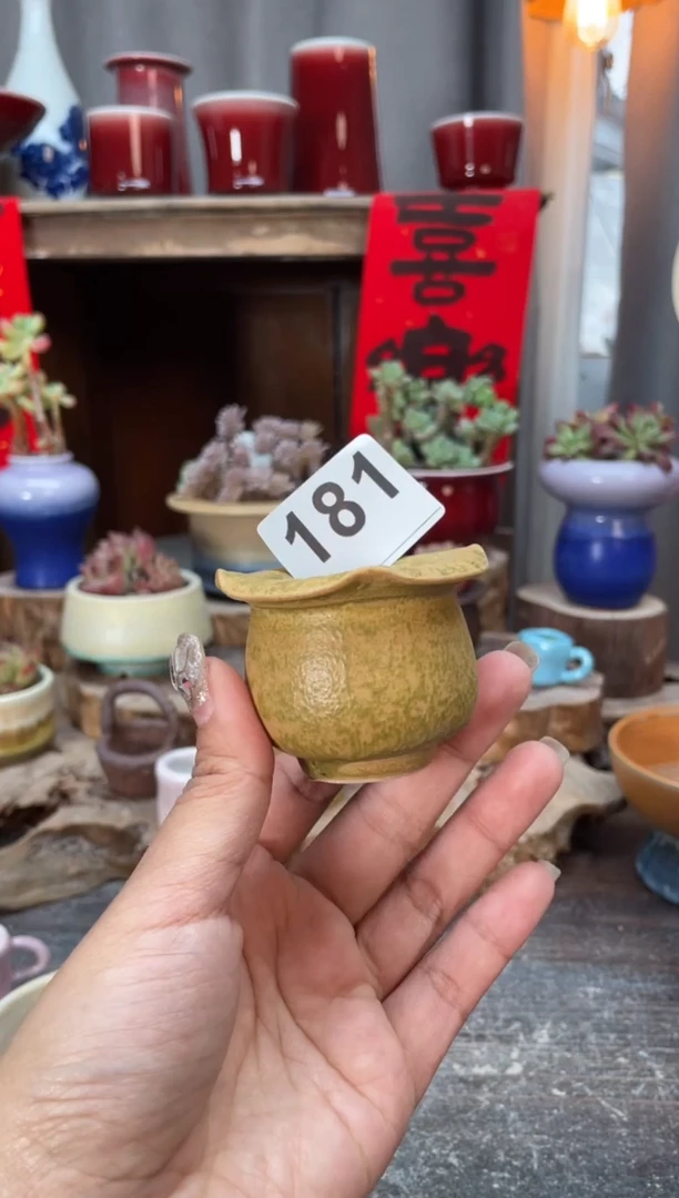 【闪购商品】摆件181知木小芳花盆