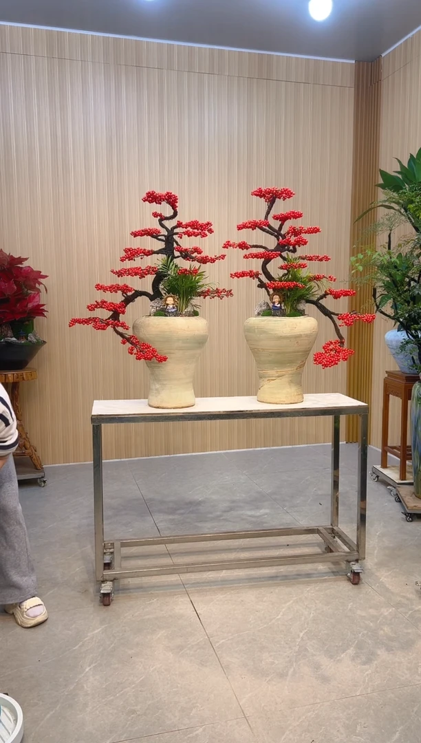 无花朵D**n北美冬青桌面一对