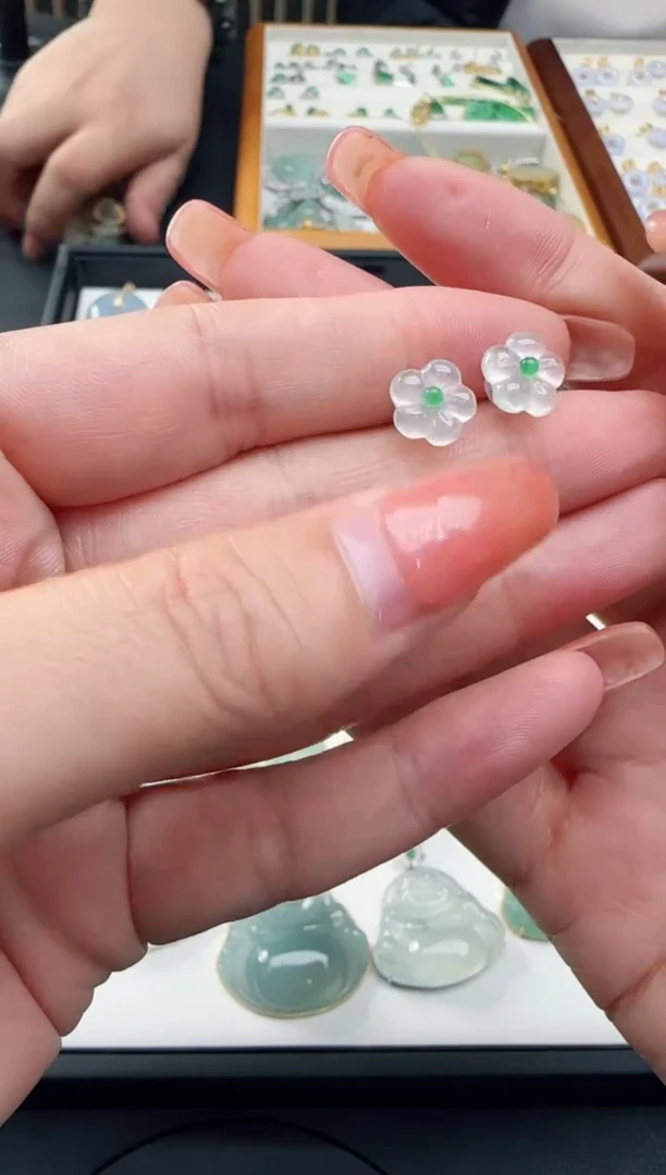 【闪购商品】翡翠颈饰银S925镶嵌多样性发一件TZG0118020