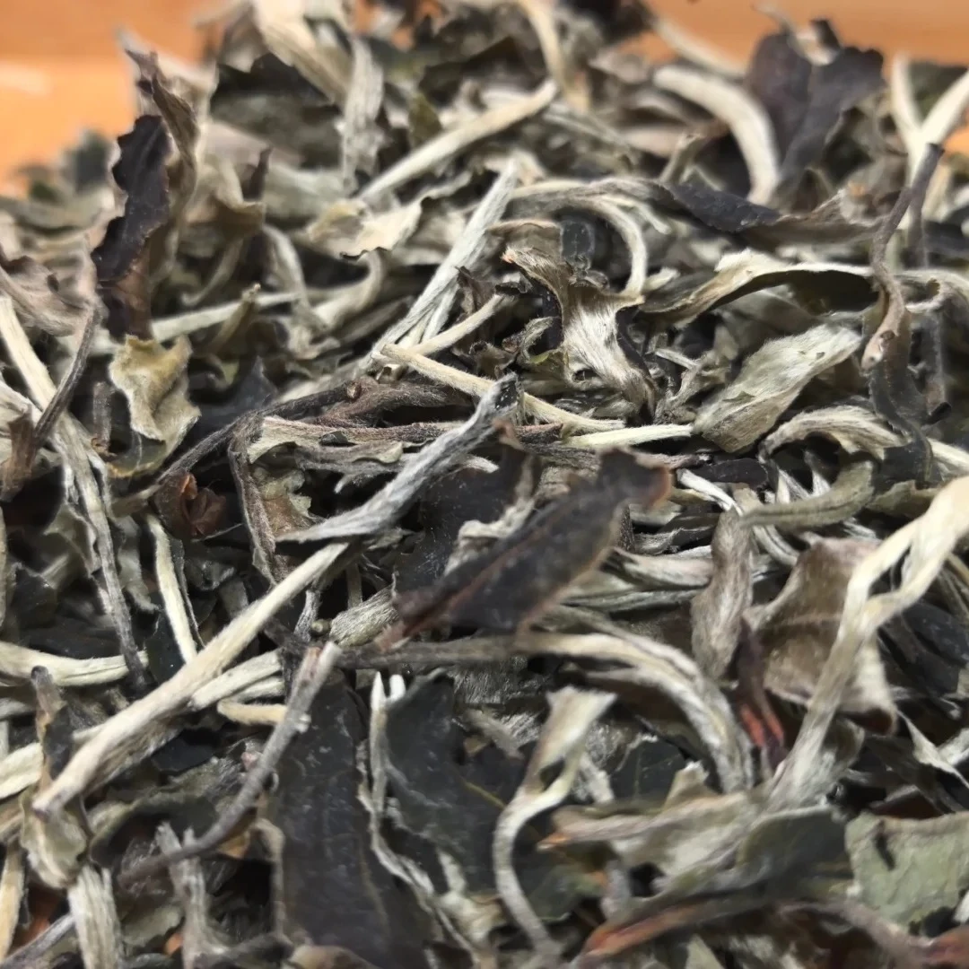 【琢耕】云南景谷白茶原产地直发景谷大白茶茶树鲜叶月美人200g/袋