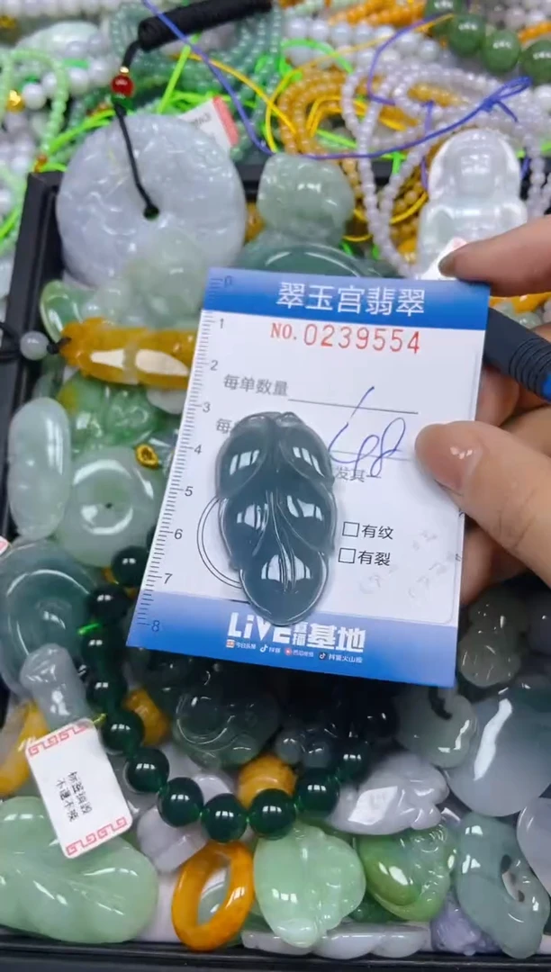 颈饰未镶嵌翡翠闪购C0239554