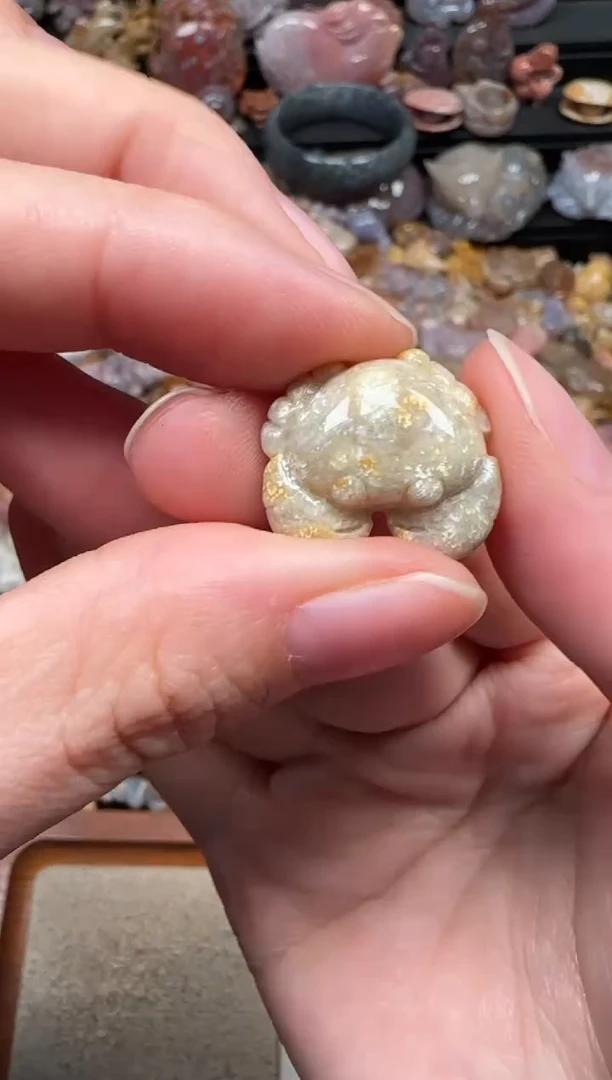 颈饰未镶嵌硅化珊瑚（珊瑚玉）293