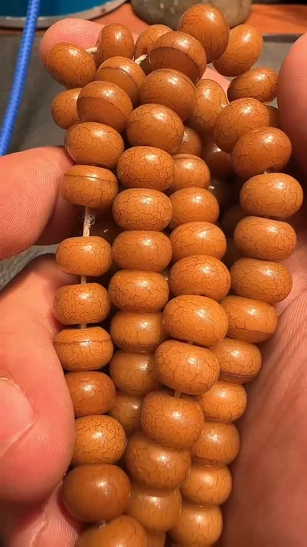 菩提根念珠菩提根念珠菩提根念珠
