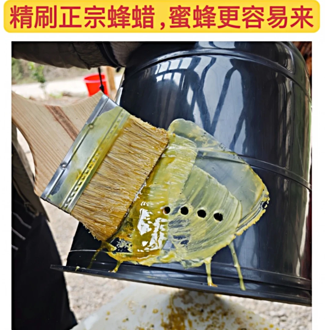 诱蜂桶 专用圆形桶 刷好蜡快速招来蜜蜂