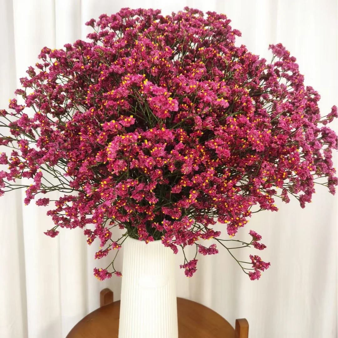 【送花瓶】红水晶云南基地直发红水晶干花花束花卉半干植物家具装饰