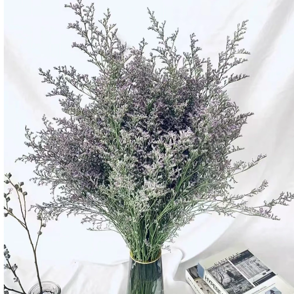 【情人草】花期久好打理清理同一地址两单顺丰冷链发货