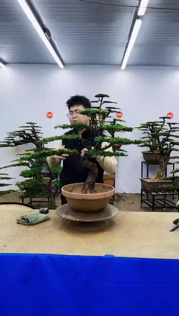 完全开放一物一拍，所见即所得