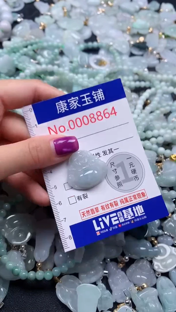 颈饰未镶嵌翡翠8864