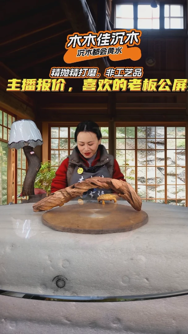 用****2木木佳沉木鱼缸造景