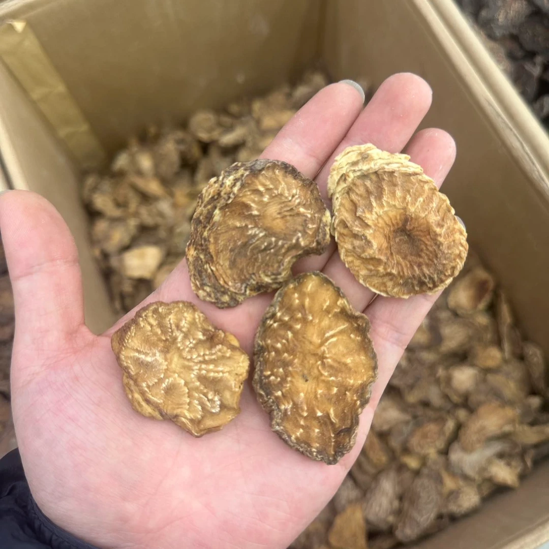 沙漠人参肉苁蓉小圆片【3~5年生长】250g半斤装泡水泡酒煲汤