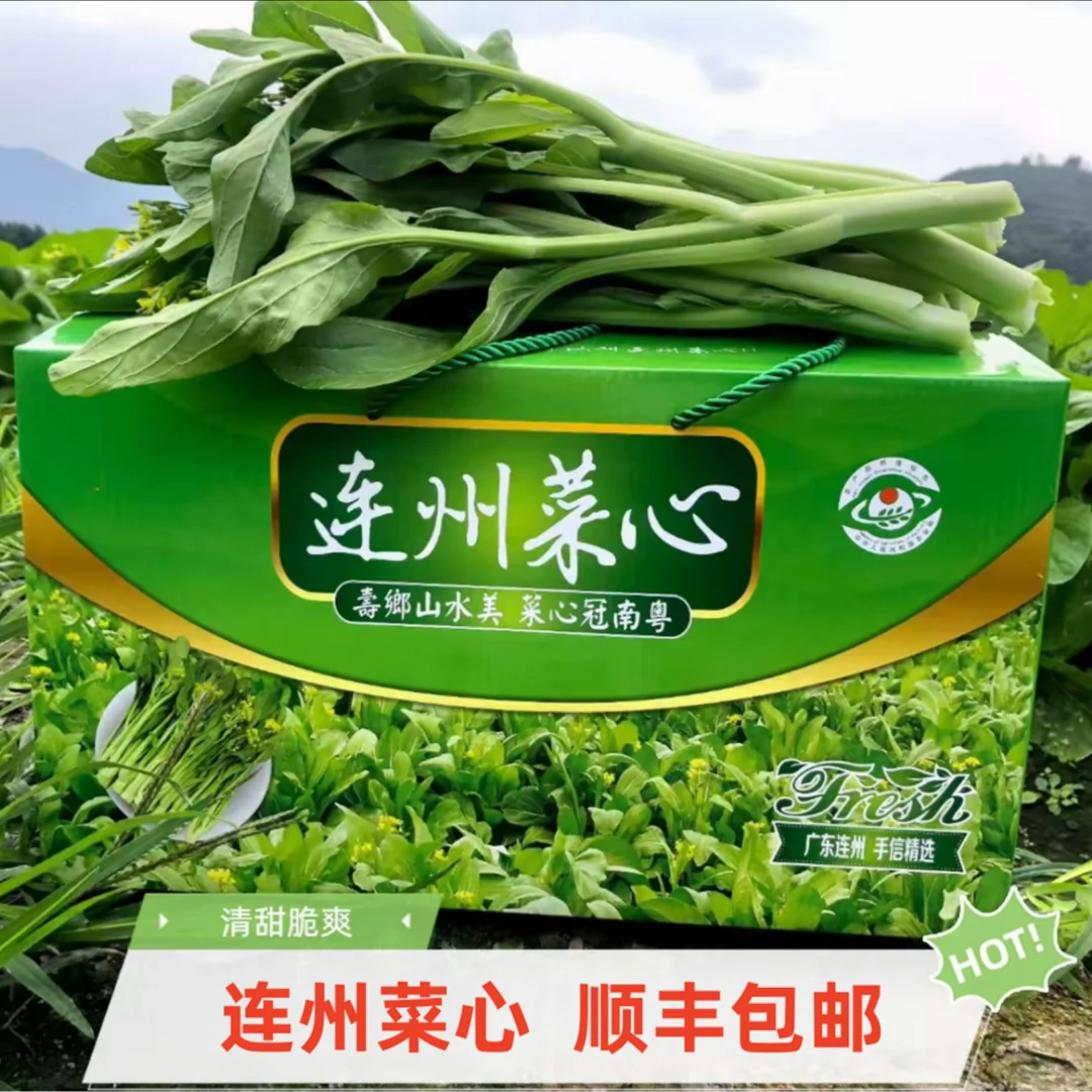 连州菜心新鲜正宗清甜爽口嫩滑顺丰包邮