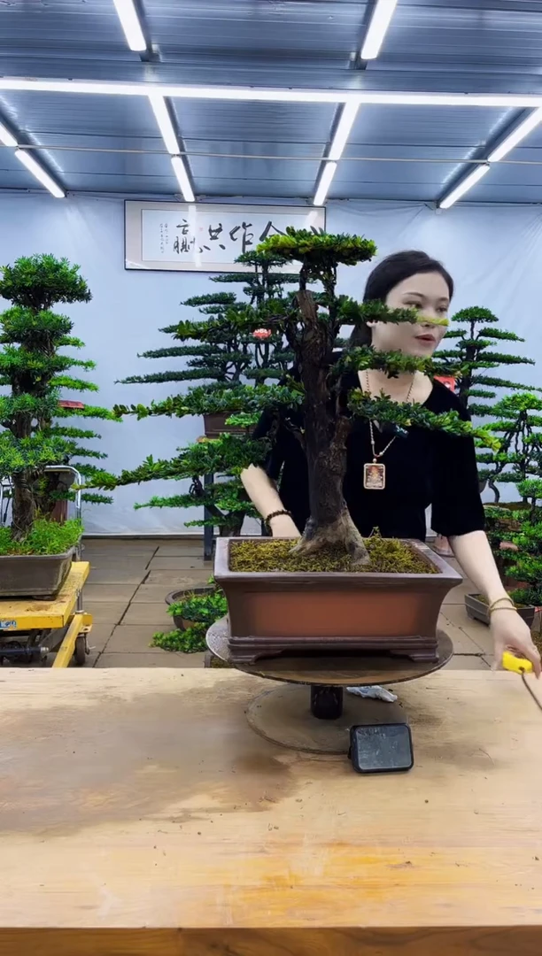 无花朵一物一拍，所见即所得