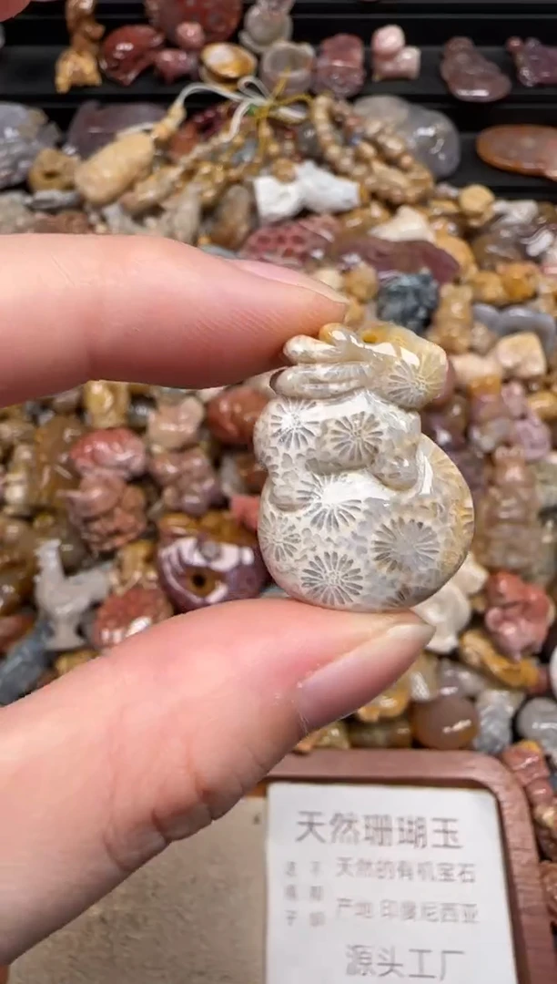 硅化珊瑚（珊瑚玉）未镶嵌颈饰446