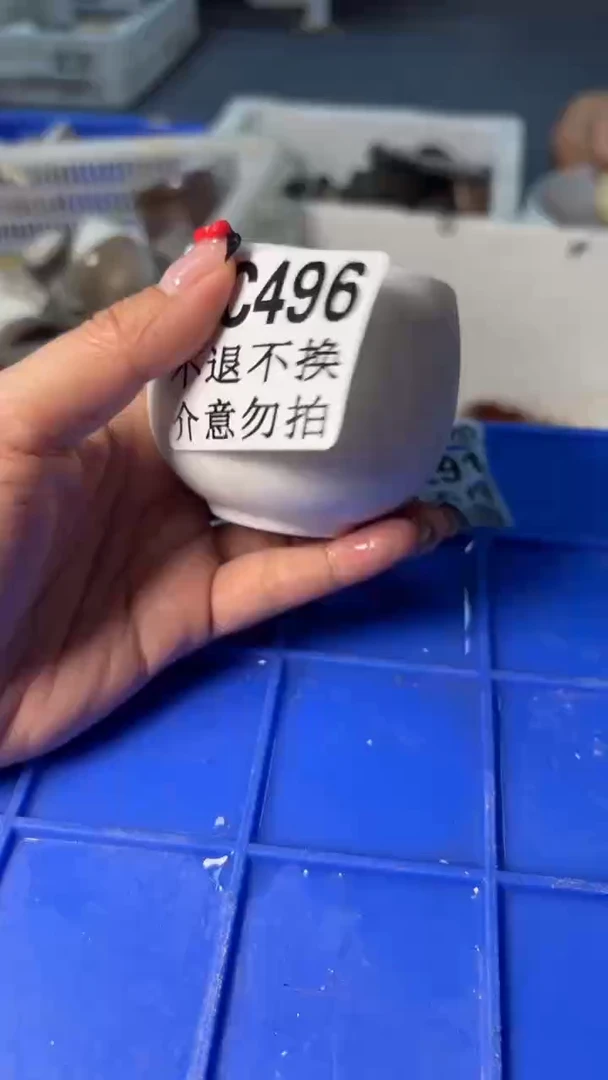 小龙堂不退不换496