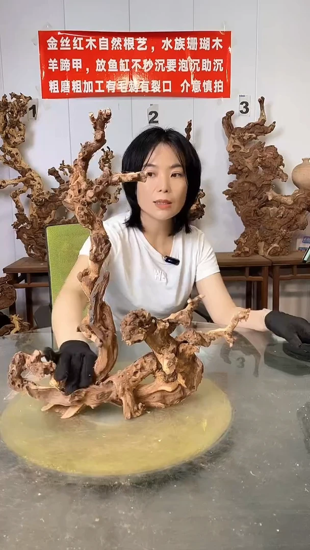 香榧木金丝红木 羊蹄甲