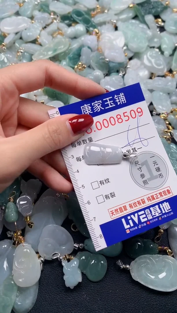 颈饰未镶嵌翡翠8509