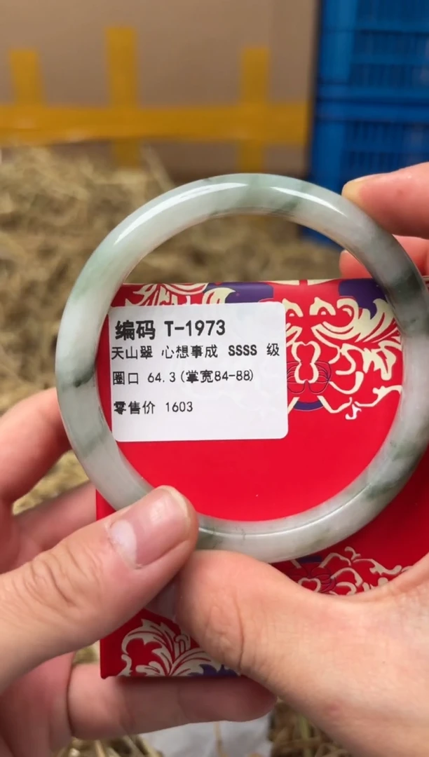 未镶嵌手镯石英质玉T-1973