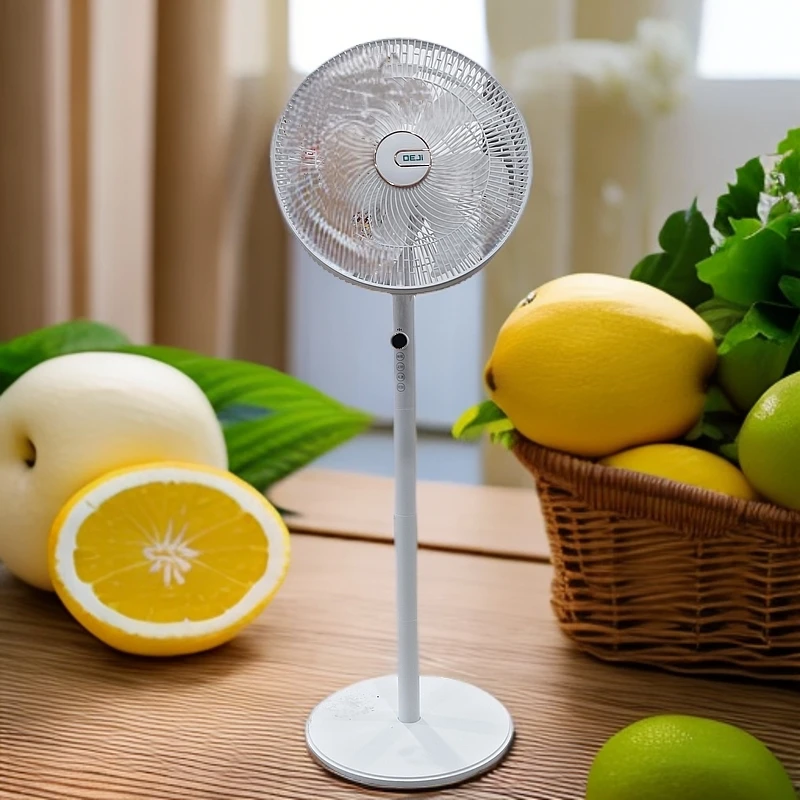 【德】16寸静音落地扇