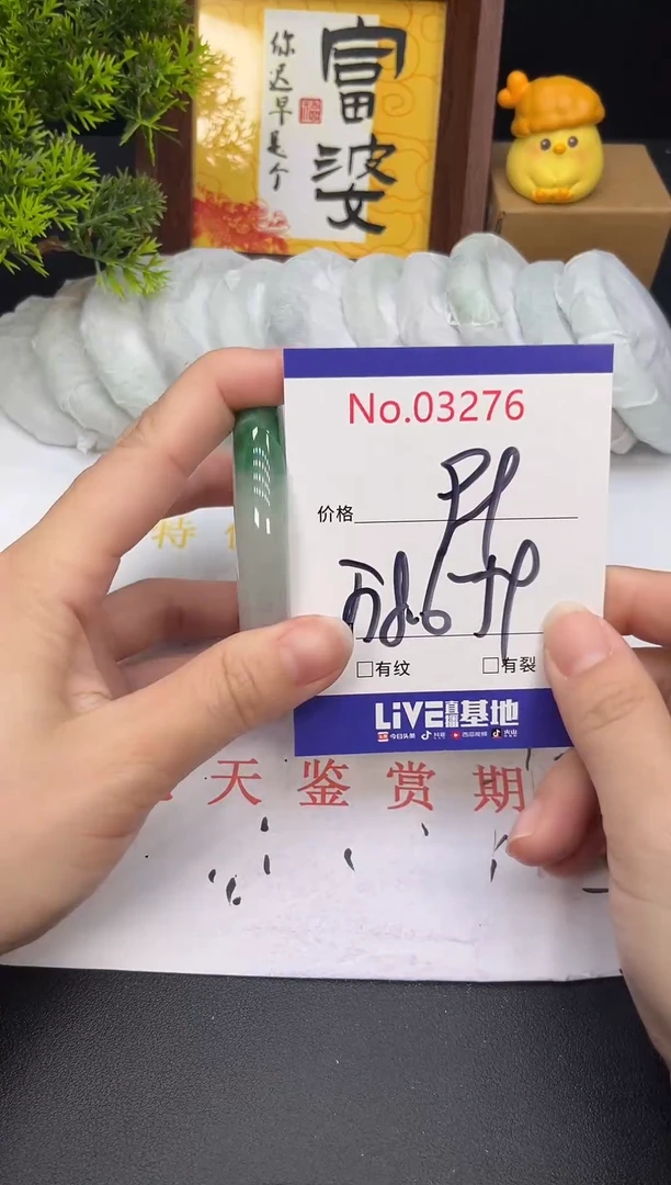 未镶嵌手镯翡翠3276