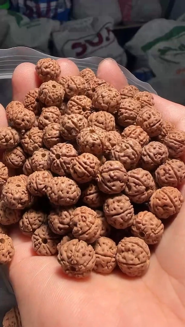 手串金刚菩提非全品老树王散籽10-11mm一份一百颗