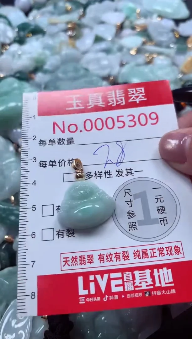 吊坠(不含链)未镶嵌翡翠5309