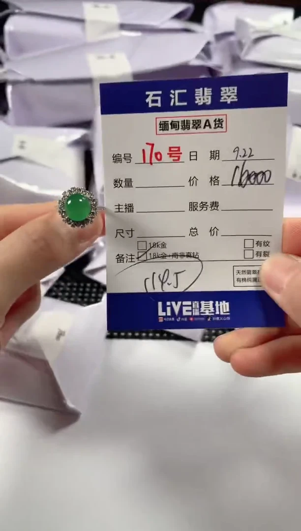 颈饰18K金镶嵌翡翠1