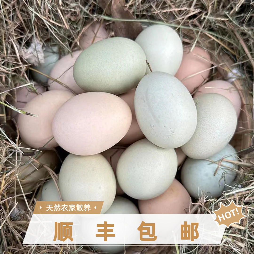 【农家土鸡蛋30枚顺丰包邮】粉壳绿壳混散养跑山鸡自产自销现捡现发