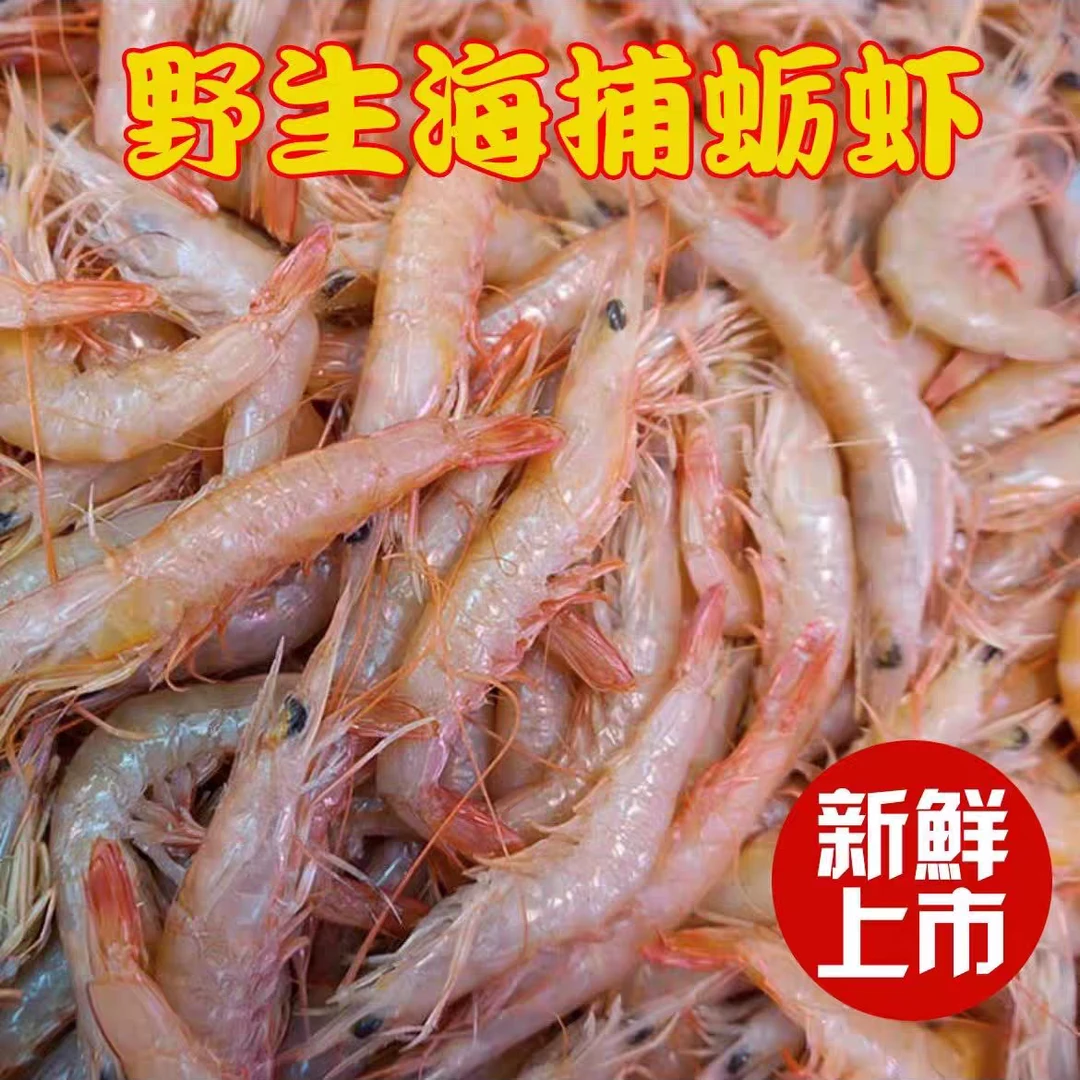 大连本地野生鹰爪虾/灯笼红虾 小虾 有黑头氧化掉头介意勿