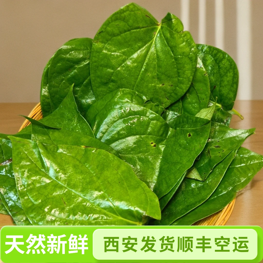 海南新鲜荖叶香甜贝壳粉提神醒脑贝壳粉海南特产