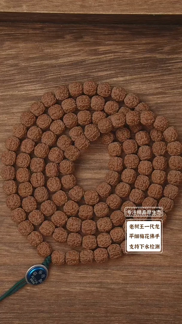 吊坠金刚菩提大尺寸一代盘龙