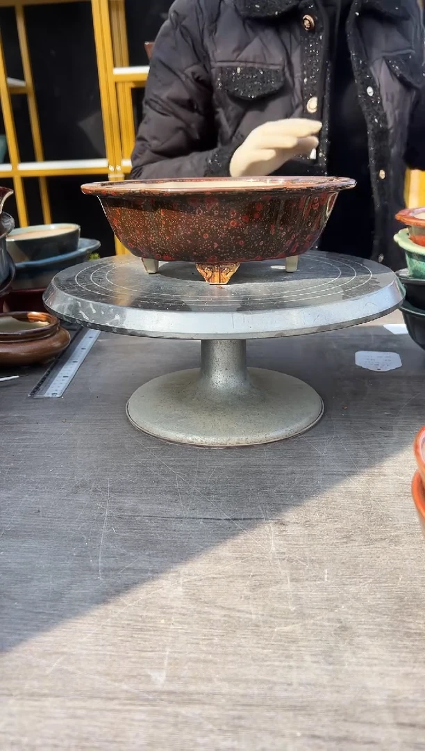 红***根28号海棠盆正品两只福利组合