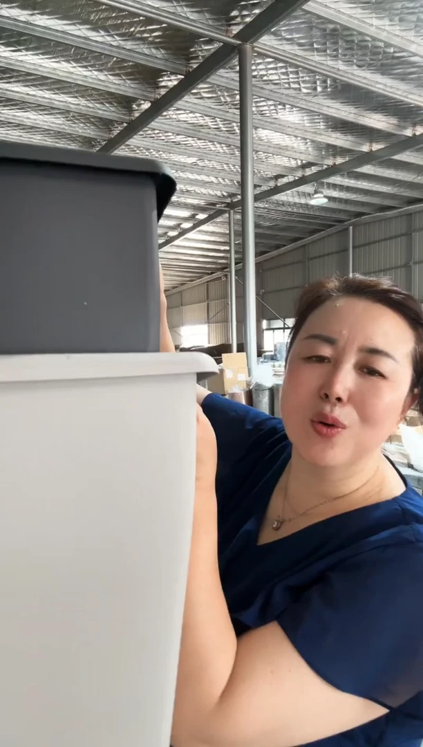 木棉300混色6只只