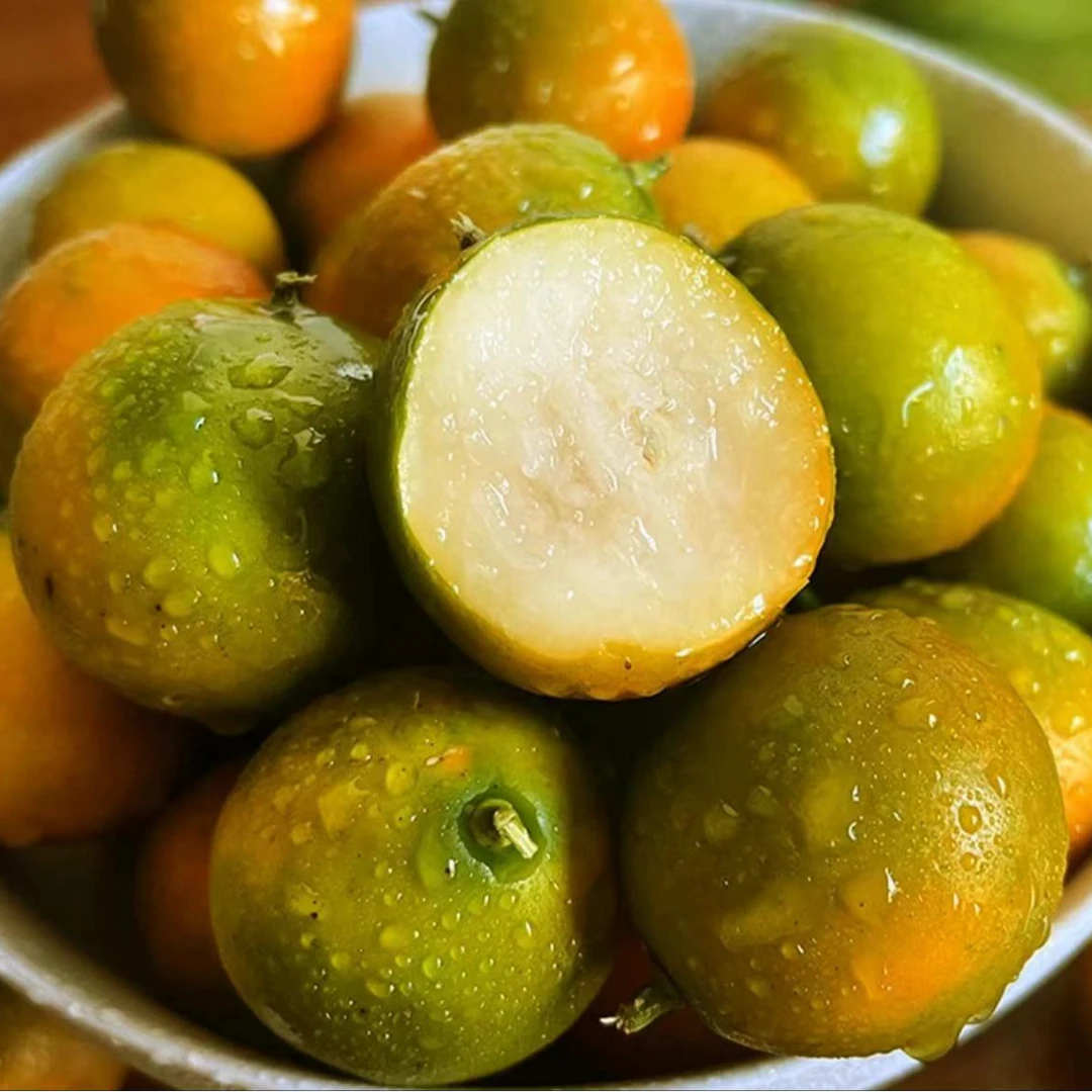 广西滑皮脆蜜金柑香甜应季水果金柑新鲜带皮吃水果