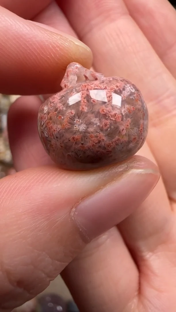 硅化珊瑚（珊瑚玉）未镶嵌颈饰749