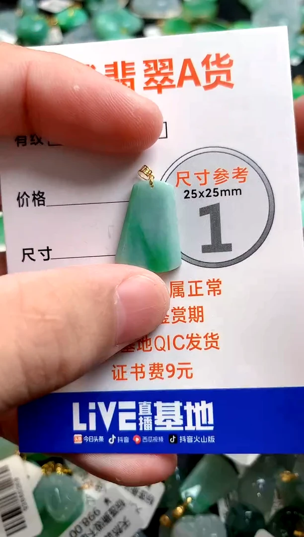 颈饰18K金镶嵌翡翠1003030975