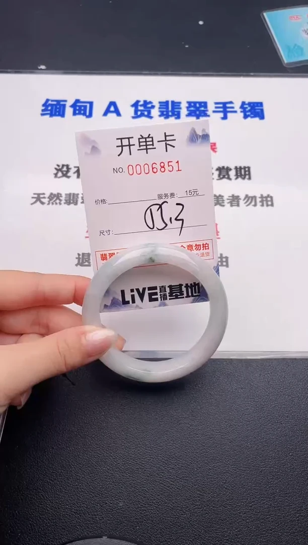 未镶嵌手镯翡翠51