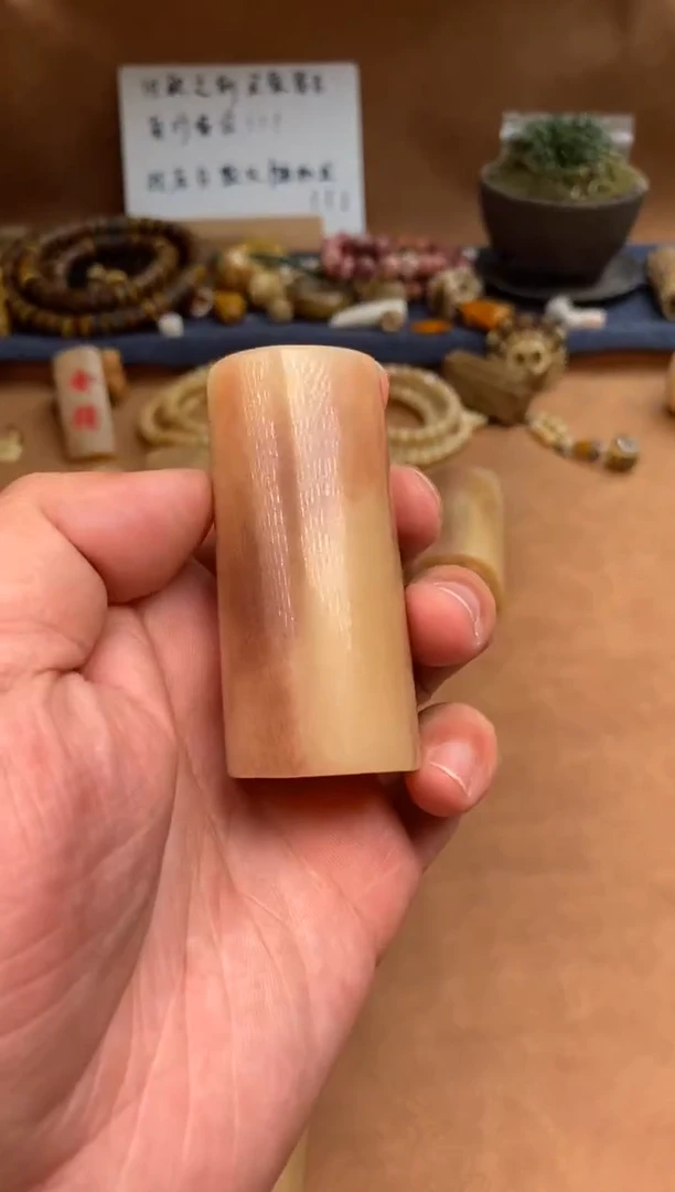 【闪购商品】驼骨其他驼骨定向V361