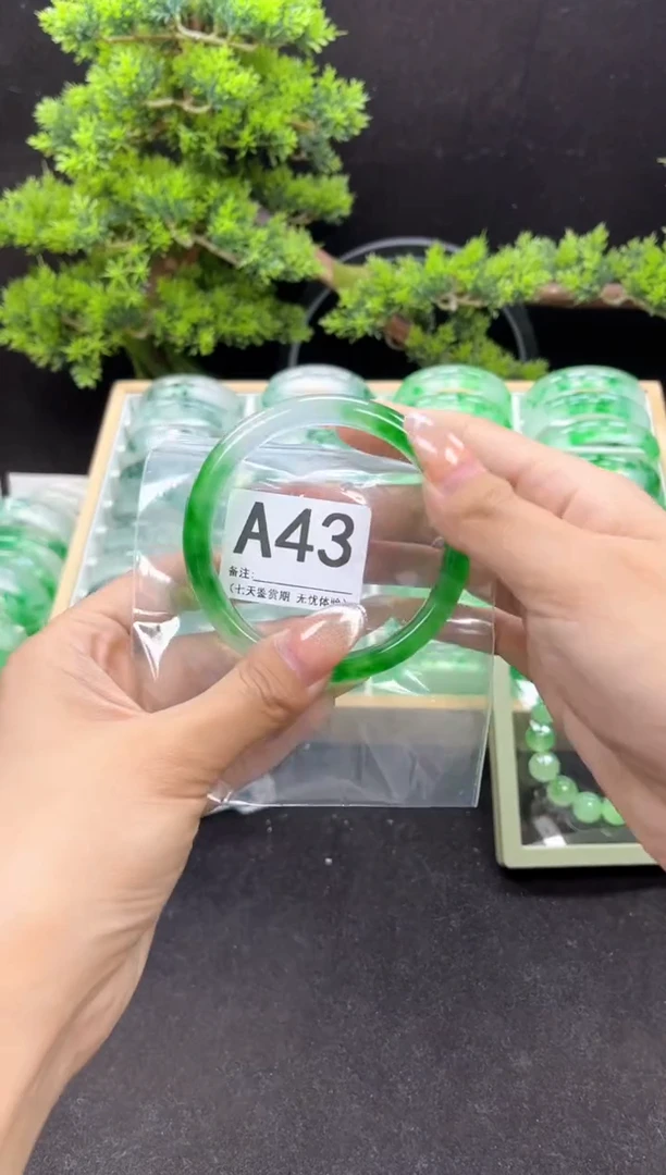 A43 抓紧去拍哦小宝！！