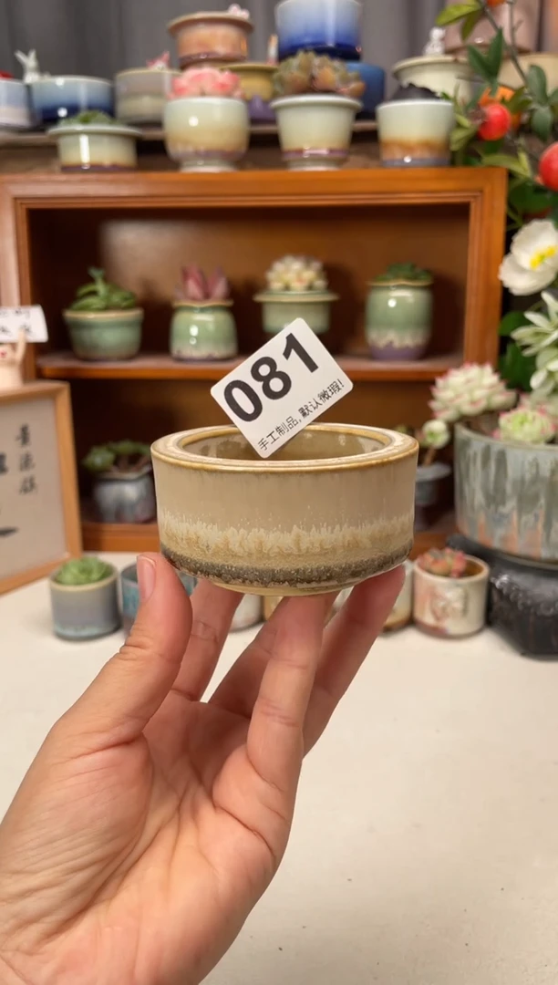 瓷片081知木小芳花盆