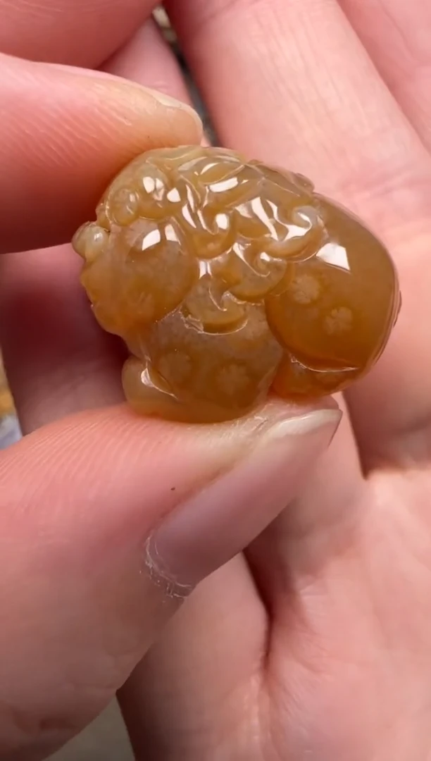 硅化珊瑚（珊瑚玉）未镶嵌颈饰184